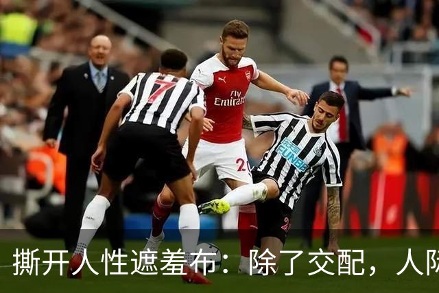 撕开人性遮羞布：除了交配，人际关系全是交易